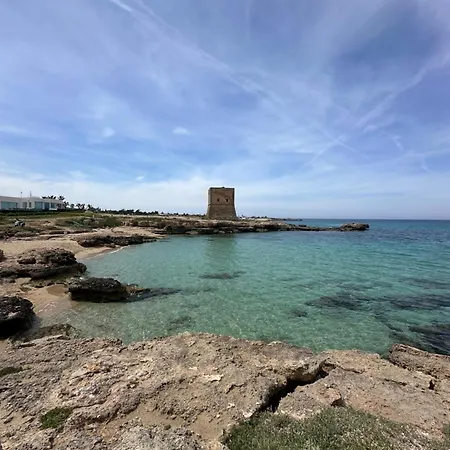 Morgana קאריני