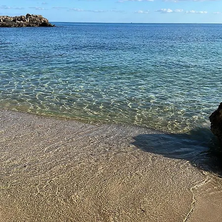 Morgana * קאריני