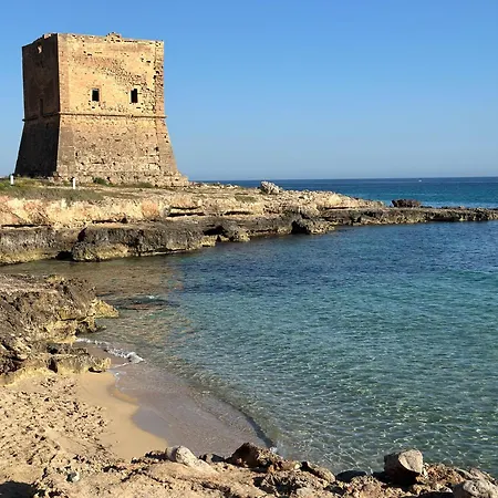 Morgana קאריני