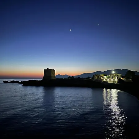 Morgana קאריני